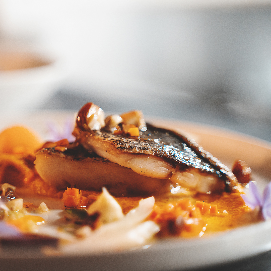 Educational Programs