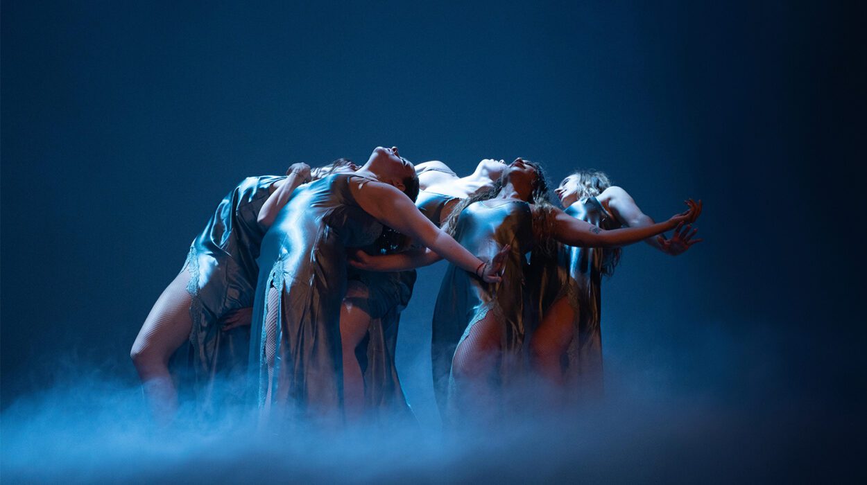 creation identite visuelle production video photographie agence de communication montpellier