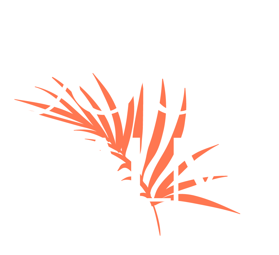 creation identite visuelle production video photographie agence de communication montpellier