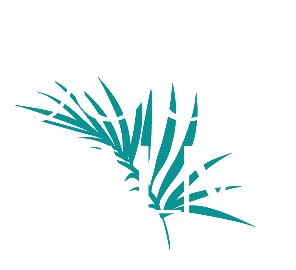 creation identite visuelle production video photographie agence de communication montpellier