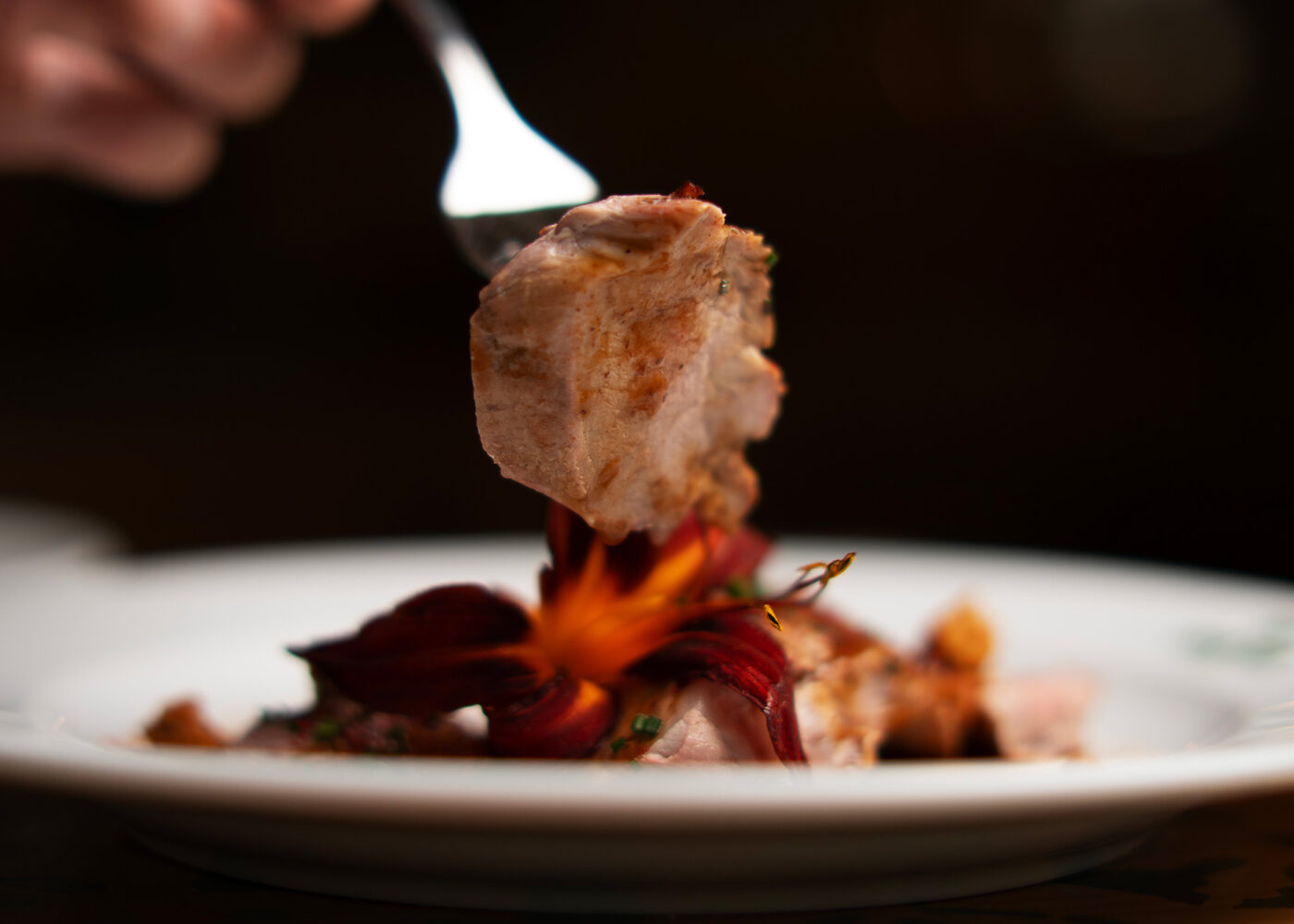 agence de communication montpellier photographe videaste