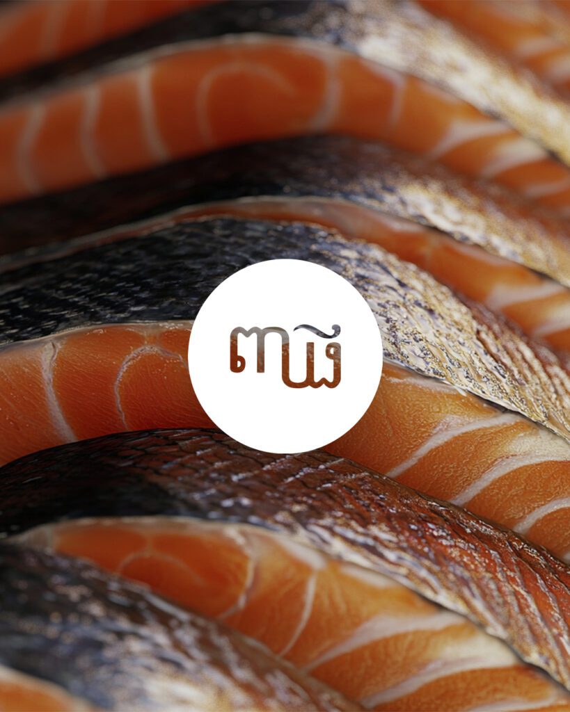 agence de communication montpellier photographe videaste